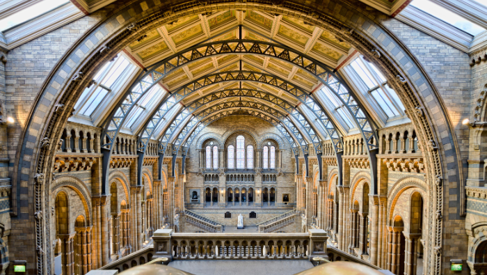 Department of History